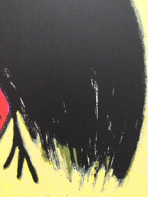 Corneille - l'oiseau noir à tête rouge - e.a. exemplaar kopen? Bied vanaf 175!