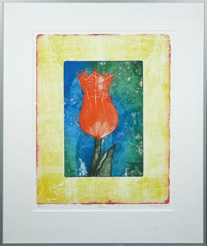 Eliza Kopec - Kleurenets, Romeo - Ingelijst kopen? Bied vanaf 1!