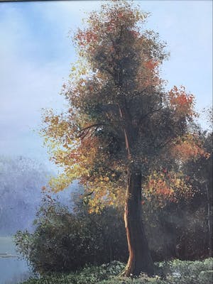 Niet of onleesbaar gesigneerd - Boom. kopen? Bied vanaf 1!