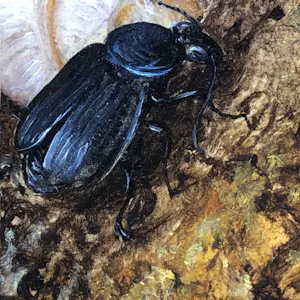 Hans van Wijk - Stilleven op boomstronk. kopen? Bied vanaf 450!