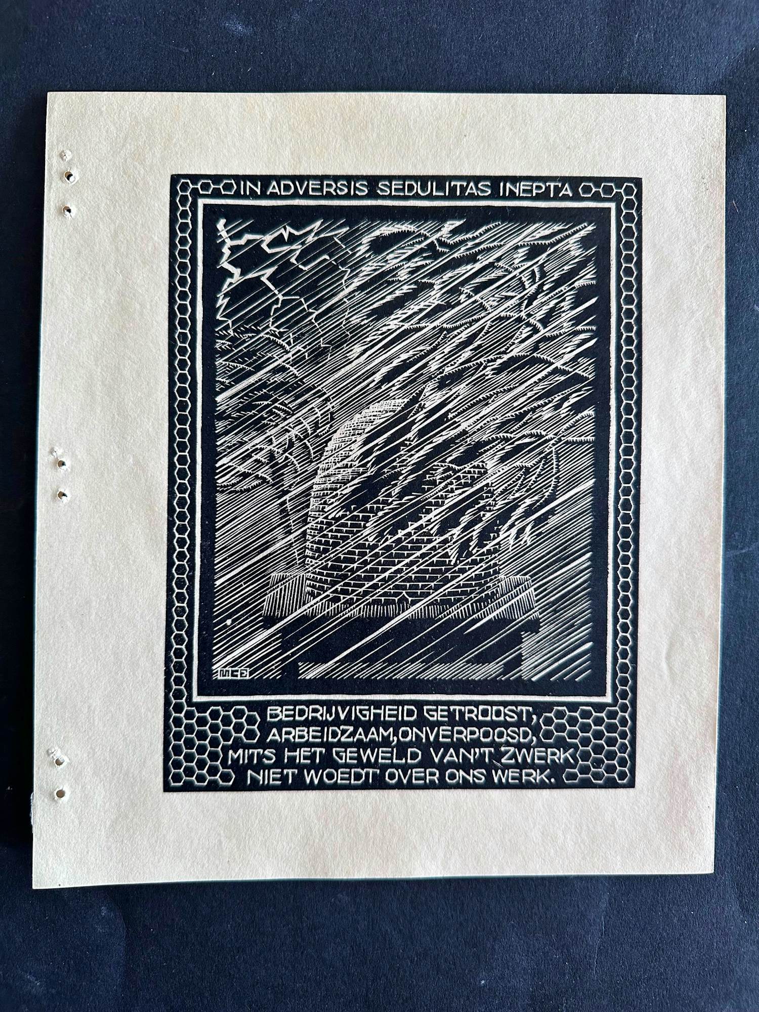 Maurits Cornelis Escher - Bijenkorf kopen? Bied vanaf 1200!