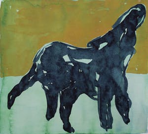 Ad van Riel - Blue Animal kopen? Bied vanaf 30!