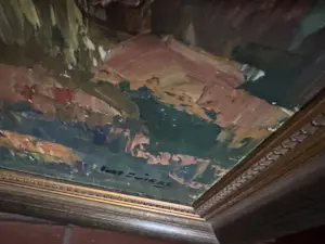 Piet Zwiers - Ven bij Giethoorn kopen? Bied vanaf 1600!