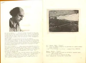 Jan Montyn - Twee kleurenetsen - 1977 - elk genummerd 1/50 - Zeer goede staat kopen? Bied vanaf 60!