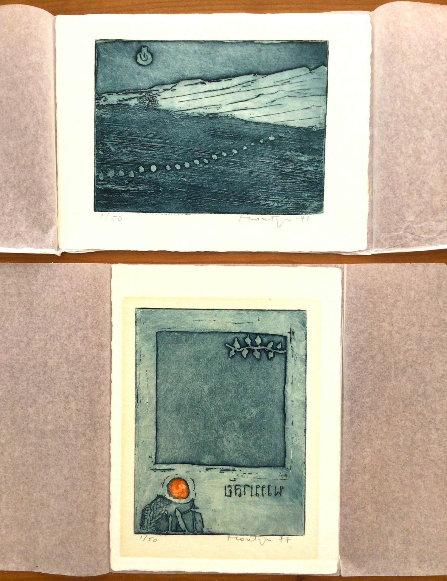 Jan Montyn - Twee kleurenetsen - 1977 - elk genummerd 1/50 - Zeer goede staat verkocht voor € 60!