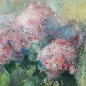 Piet Brandjes - Hortensia bij venster kopen? Bied vanaf 1!