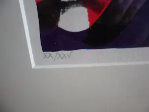 Herman Brood - Kleurenzeefdruk TOUGH BUMP Hand gesigneerd. kopen? Bied vanaf 475!