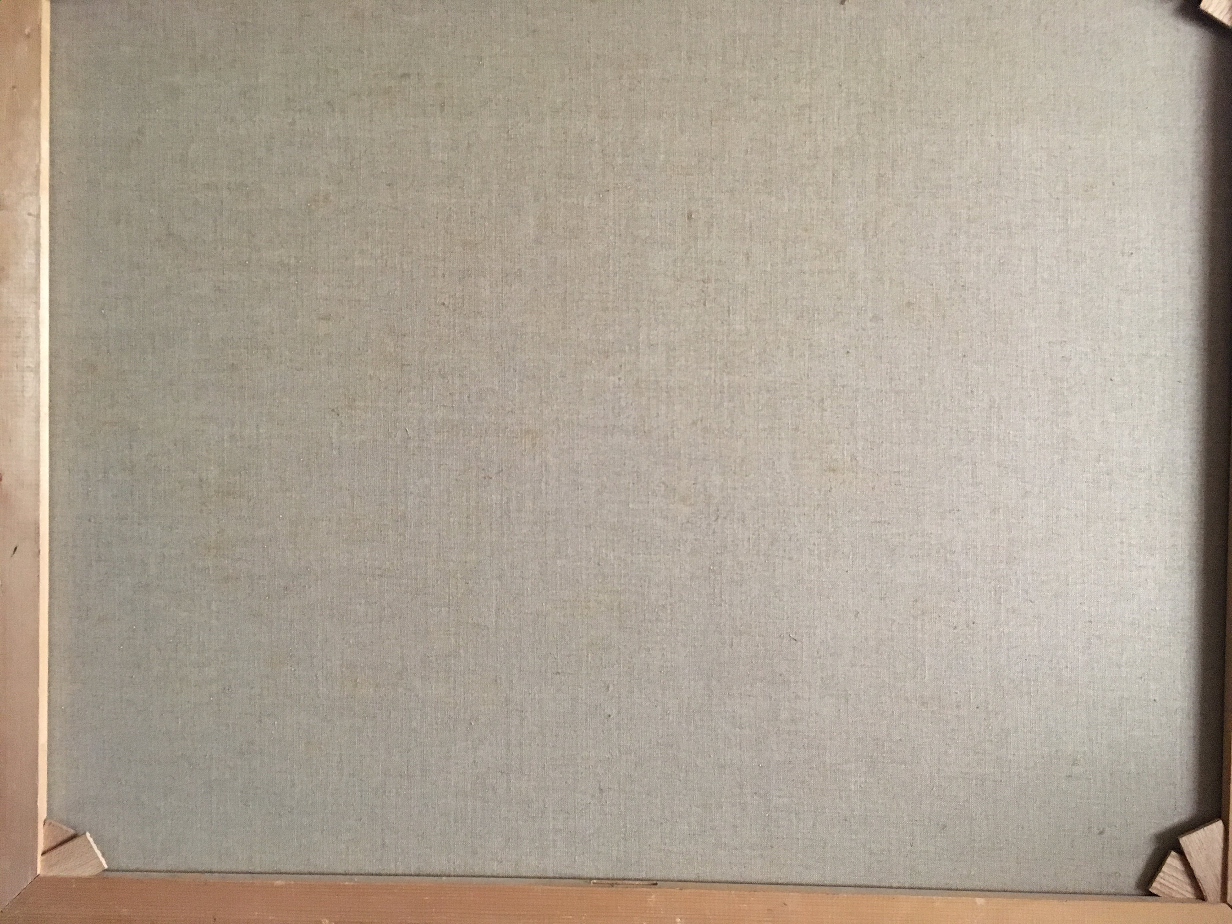 Ricky Damen-Vereijken - Peellandschap kopen? Bied vanaf 75!