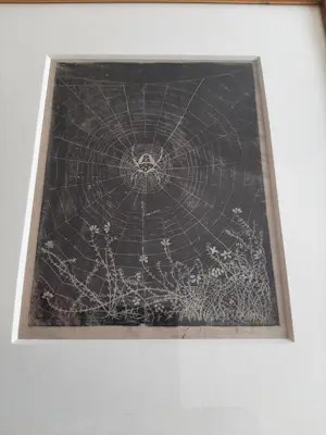 Jan Mankes - Heliogravure, Spin in web. kopen? Bied vanaf 100!