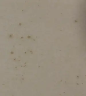 Jean Demmeni - Fotogravure, Javaansch Dorp (West-Java) - Ingelijst kopen? Bied vanaf 1!