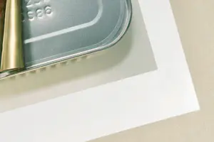 Dominic Rouse - Vissen kan & Vissen kan niet (2011) - Twee prenten kopen? Bied vanaf 140!