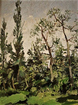 Rene Marie Dujardin - Kunstacademie Antwerpen 1935 - olieverf - "Voorjaar in de Kempen" gesigneerd kopen? Bied vanaf 10!