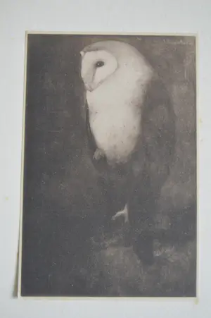 Jan Mankes - 'Jan Mankes' kopen? Bied vanaf 400!