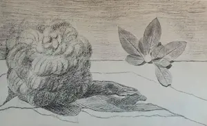 Max Ernst - Map met 34 werken: Histoire Naturelle - 1972 kaufen? Bieten Sie von 499!