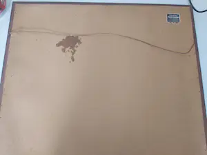 Albert Geudens - Kleurenets kopen? Bied vanaf 45!