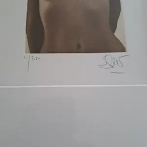 Willi Kissmer - Vrouwelijke Torso nr: 11 van de 250 kopen? Bied vanaf 70!