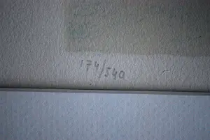 Willem van Veldhuizen - Stoel - tafel - boek kopen? Bied vanaf 175!