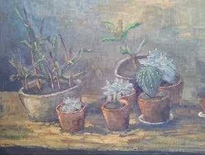 Leo Johannes van Gemert - Stilleven met cactussen en vetplanten. kopen? Bied vanaf 1!