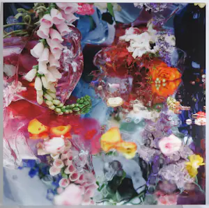 Margriet Smulders - Grote C-Print op dibond, Leda kopen? Bied vanaf 1500!