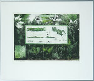 Rolf Weijburg - Kleurenets en aquatint, Praslin island - Ingelijst kopen? Bied vanaf 50!