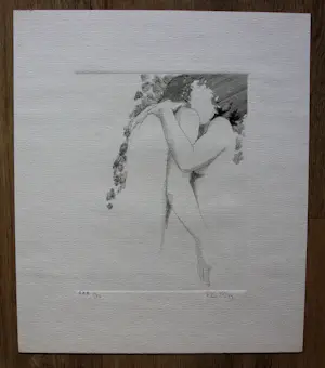 Rob Cox - 2 etsen - grafiek erotiek - 1978/1979 kopen? Bied vanaf 70!