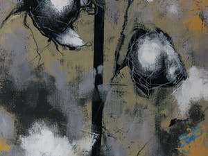 Carolina Paulussen - Acryl op doek, Rozen (Zeer groot) kopen? Bied vanaf 250!