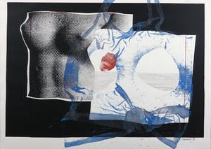 Hermien van Herpt - Monotype, Borst III - Ingelijst kopen? Bied vanaf 1!