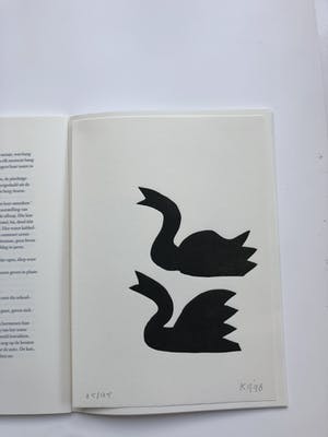 Klaas Gubbels - Zwarte zwanen kopen? Bied vanaf 195!