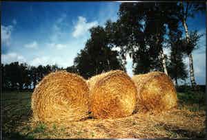 Paul Huf - C-Print, Drenthe - Ingelijst (Zeer groot) verkocht voor € 100!