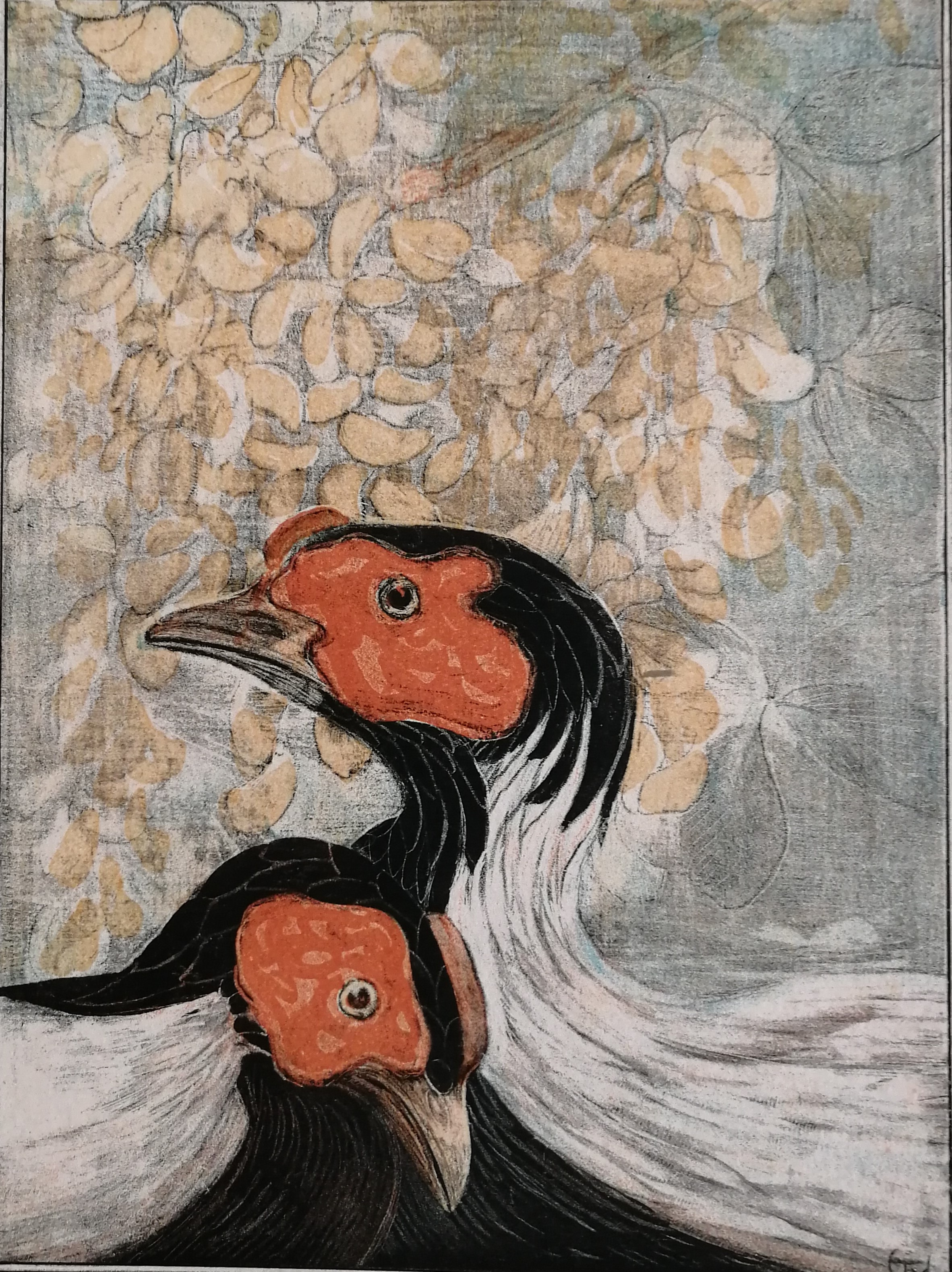 Theo van Hoytema - Twee vogelkoppen verkocht voor € 60!