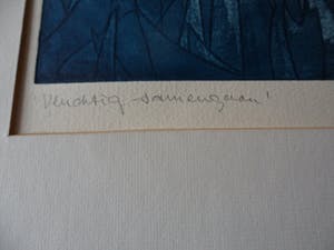 Ank Spronk - Kleurets / Preegdruk. Titel, "Vluchtig samengaan". kopen? Bied vanaf 45!