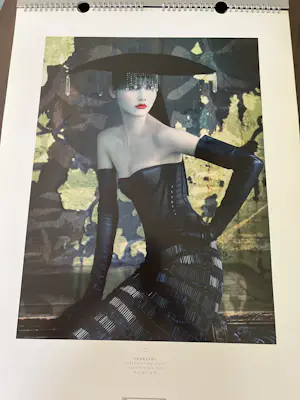 Patrick Demarchelier - Pirelli kalender 2008 kopen? Bied vanaf 45!