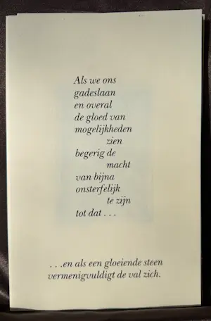 Ab Steenvoorden - Ons zelf spiegelen kopen? Bied vanaf 67!