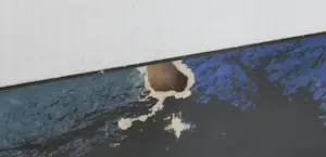 Eugène Brands - Gouache op karton, Tuin in de vroege morgen - Ingelijst kopen? Bied vanaf 800!