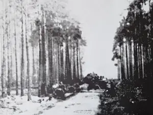 AcheterArmando - Het complete portfolio "Schuldige Landschaft" oplage 35 stuks! potloodgesigneerd? Enchérissez de 647!