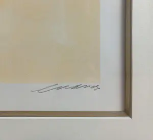 Eugène Brands - Nuages, litho (zeer mooi ingelijst) kopen? Bied vanaf 395!