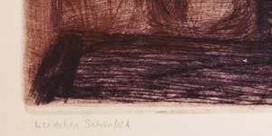 Wendelien Schonfeld - Kleurenets, Rodange kopen? Bied vanaf 20!