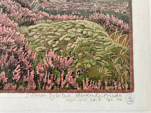 Siemen Dijkstra - Vak 39 Dwingelderveld kopen? Bied vanaf 195!