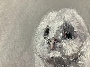 Dorien Plaat - Barnuil kopen? Bied vanaf 350!