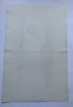 Kees van Dongen - La Seine ou la Sirene , Litho kopen? Bied vanaf 450!