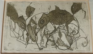 Willie van Haard - Kameleonnen kopen? Bied vanaf 7!