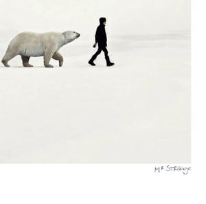 Mr. Strange - Artic kopen? Bied vanaf 50!