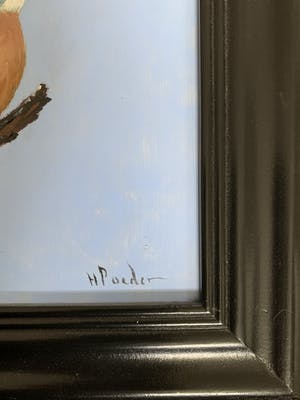 Henk Poeder - Ijsvogel kopen? Bied vanaf 89!