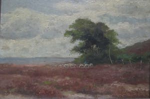 Andries Verleur - Schilderij heidelandschap kopen? Bied vanaf 1!