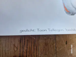 Marjolijn Mandersloot - Een Streep kopen? Bied vanaf 25!