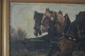 Niet of onleesbaar gesigneerd - Twee paarden. kopen? Bied vanaf 1!