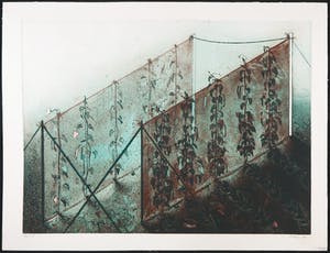 Arthur Stam - Ets en aquatint, Boontjes kopen? Bied vanaf 20!