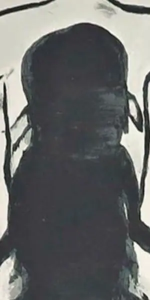 Luc Tuymans - Superstition kopen? Bied vanaf 1000!