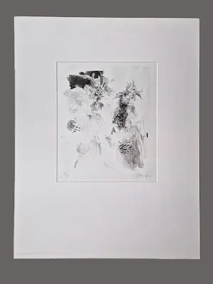 Jan Mensinga - in zeer kleine oplage (7) gemaakte monochrome lithografie "hanengevecht" kopen? Bied vanaf 35!