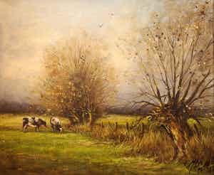 Toon Wildeboer - Bij Kortenhoef verkocht voor € 1!